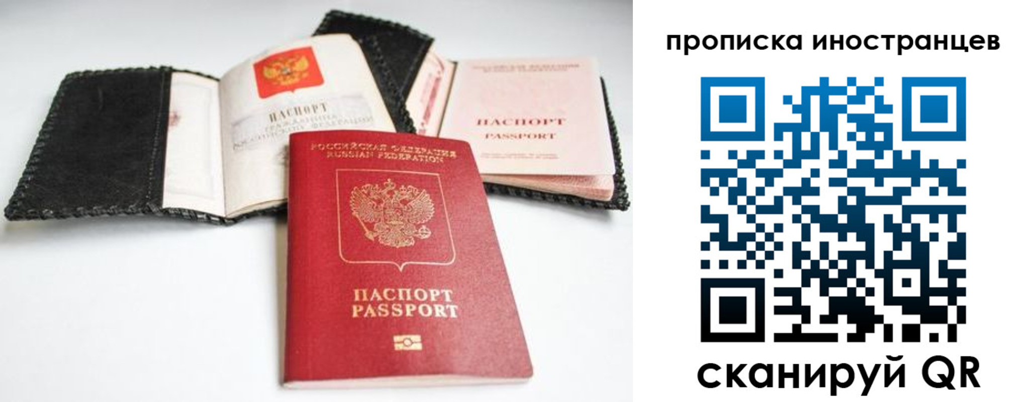 прописка паспорт в Шебекино